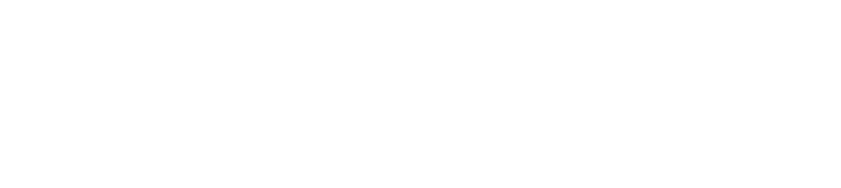 We point